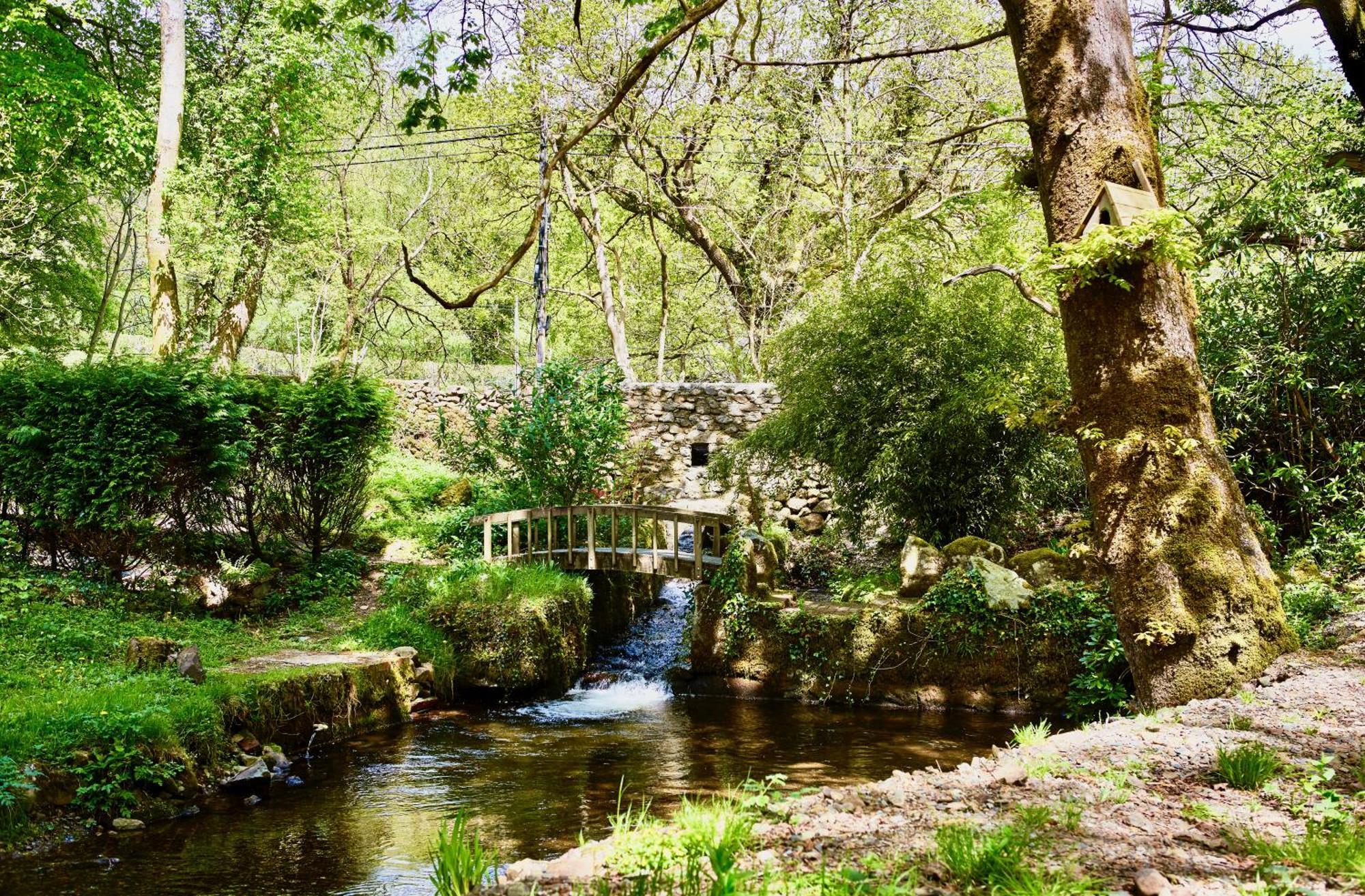 Afon Rhaiadr Country House Dolgellau Exterior foto